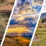 Biggest land sales of 2017