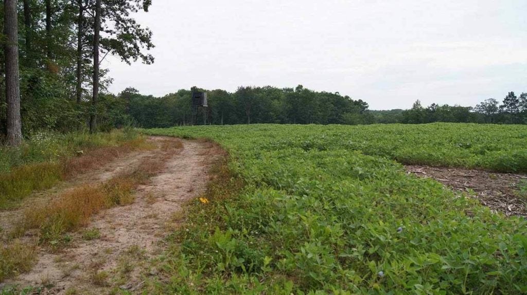 image of hunting stand in wisconsin