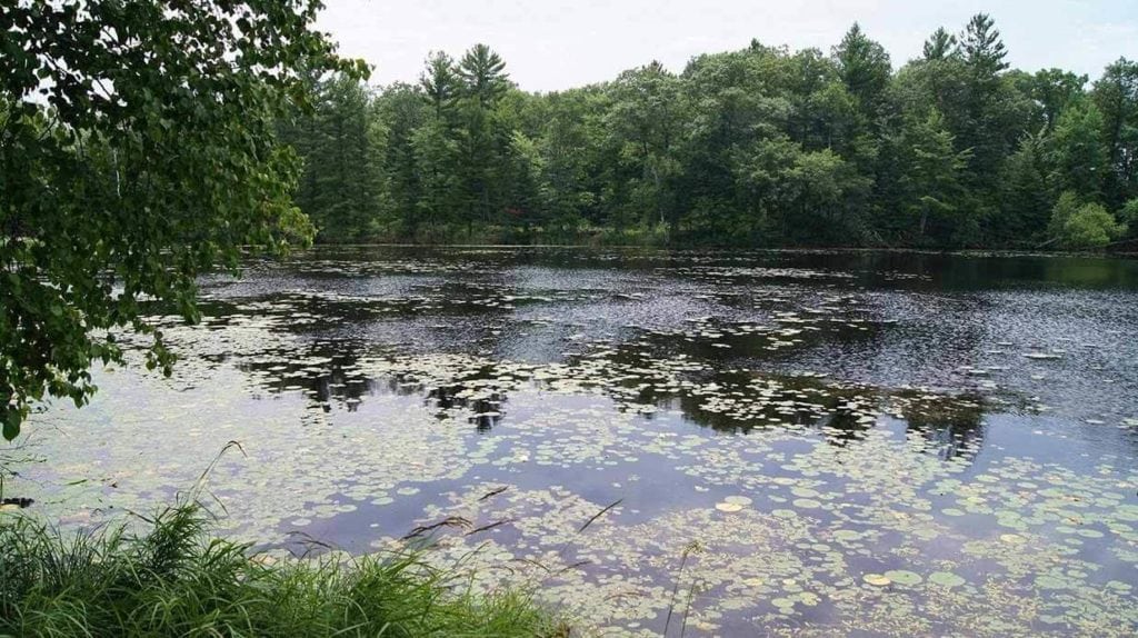 image of pond in wisconsin