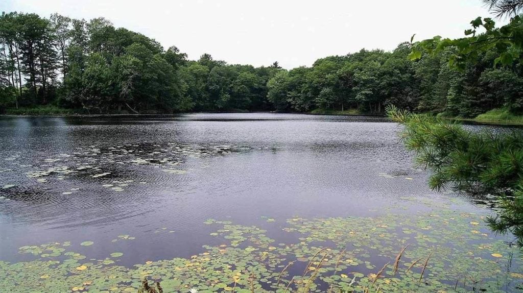 image of pond in wisconsin