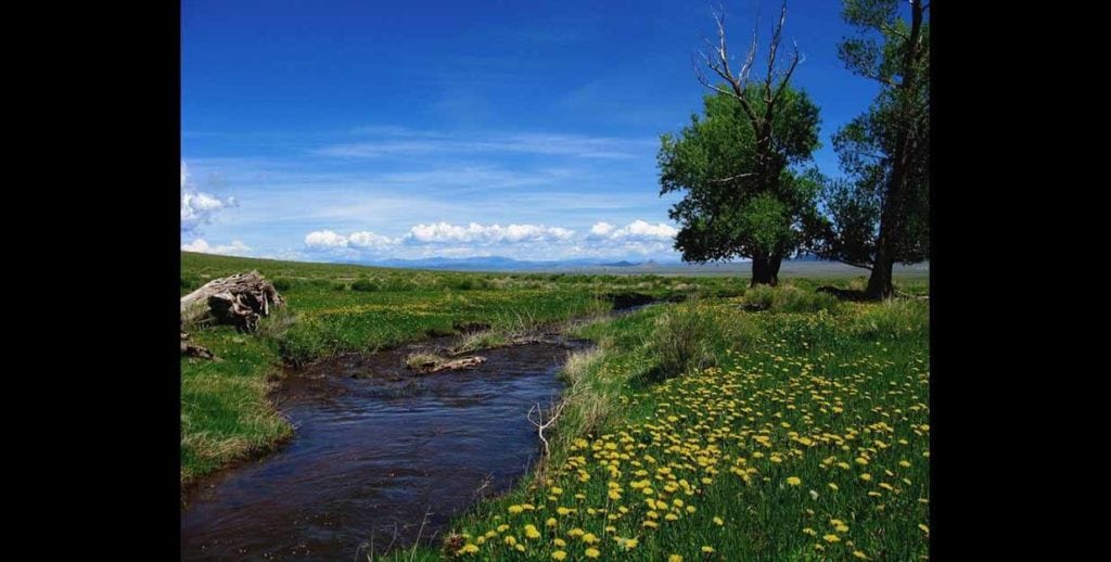 Boyer Ranch, Colorado, Ranch Marketing Associates sale