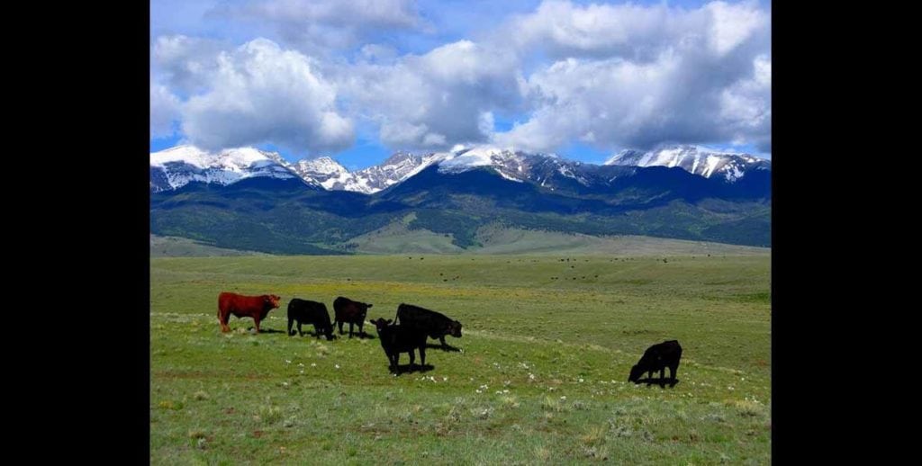 Boyer Ranch, Colorado, Ranch Marketing Associates sale