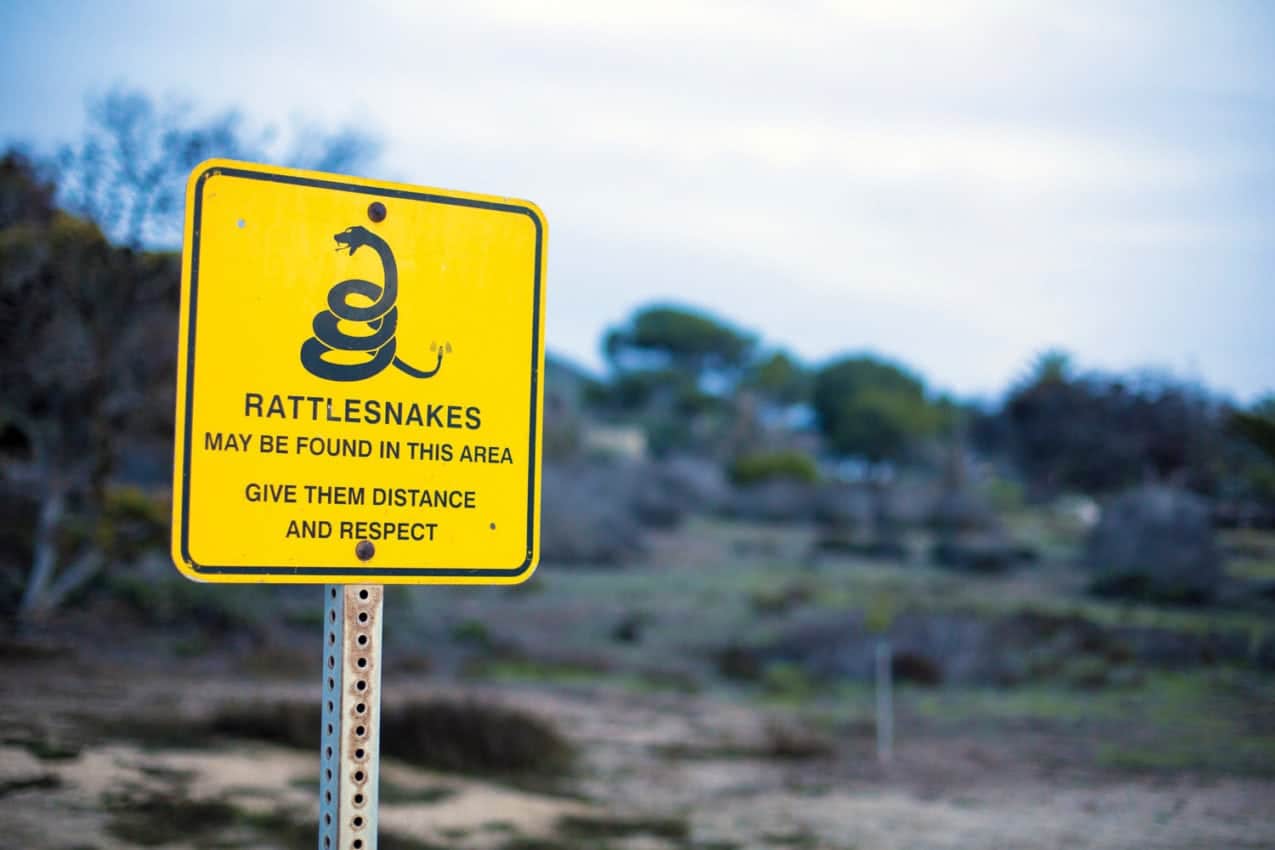 Warning sign about rattlesnakes