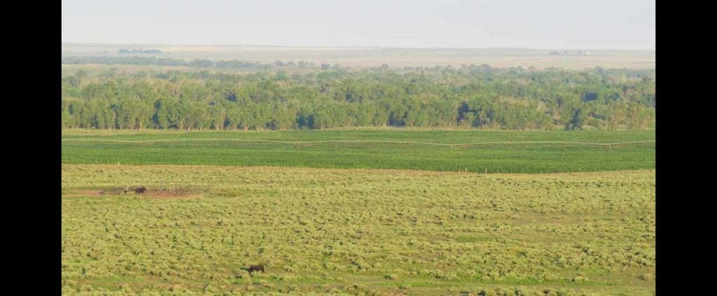 Landscape on White Ranch in Baca County, Colorado