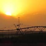 Irrigation on White Ranch in Baca County, Colorado