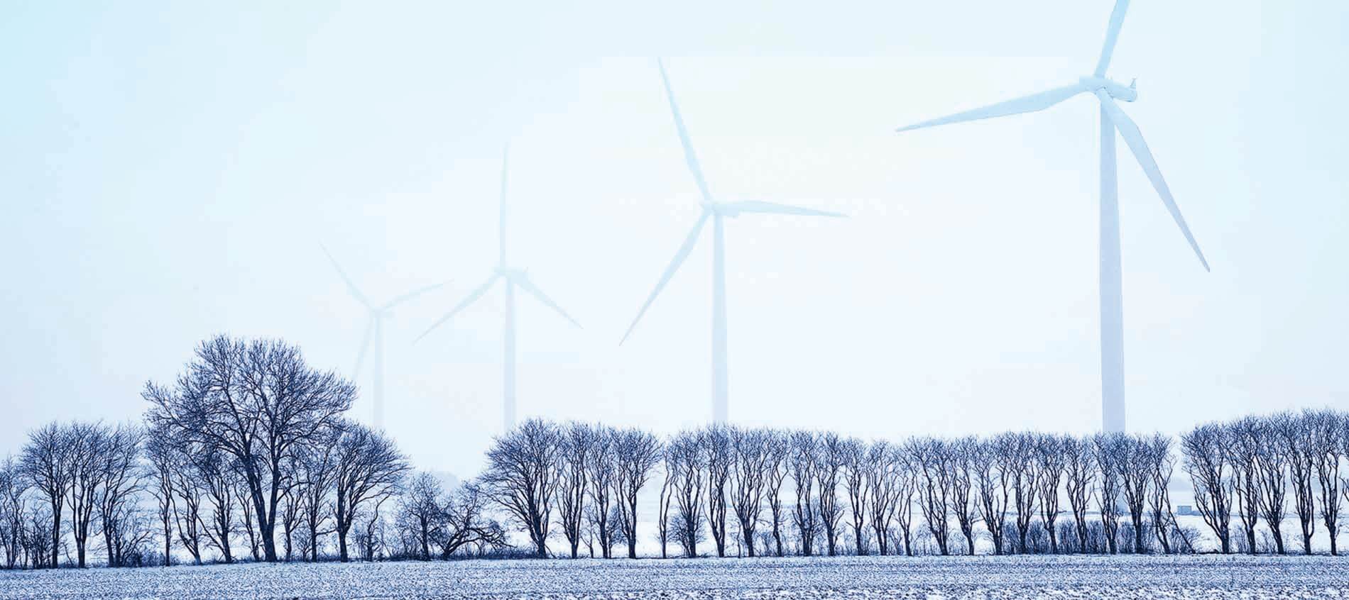 Image of wind farm on land