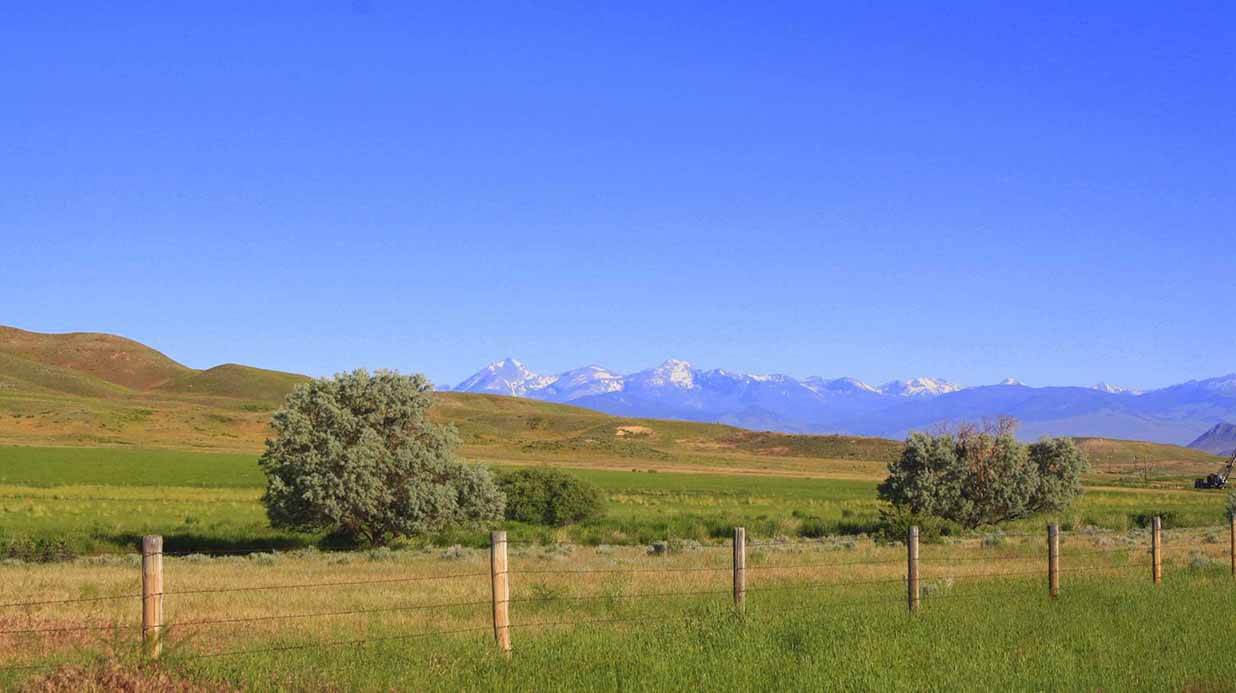 Chance Bernall Sells 3,158-Deeded-Acre Farm in Beaverhead County ...