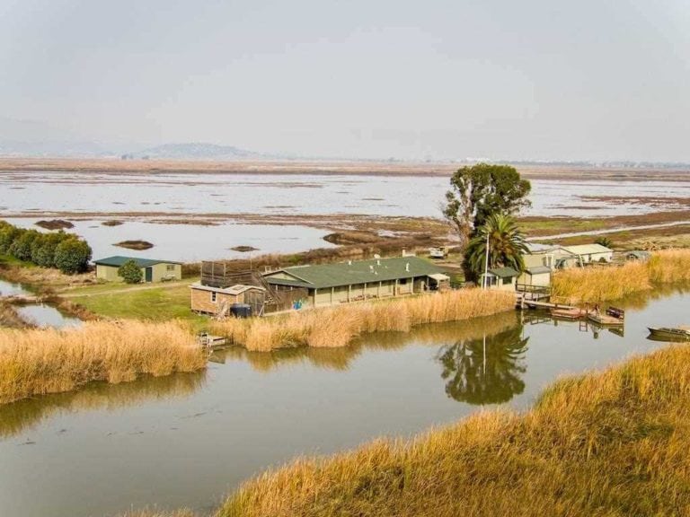 Image of Marshview Duck Club in SF Bay Area, California