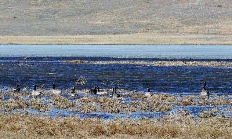 Hardin Ranch, Nebraska sale