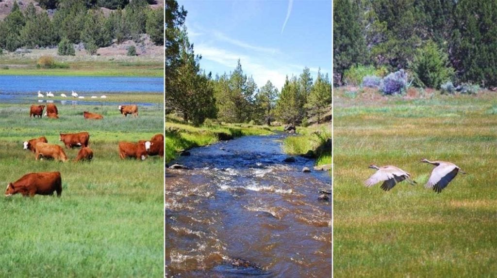 West Valley Ranch, Modoc County, California