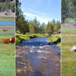 West Valley Ranch, Modoc County, California