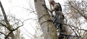 Bowhunter in treestand