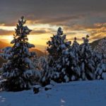 Winter view at Lone View Ranch, Montana