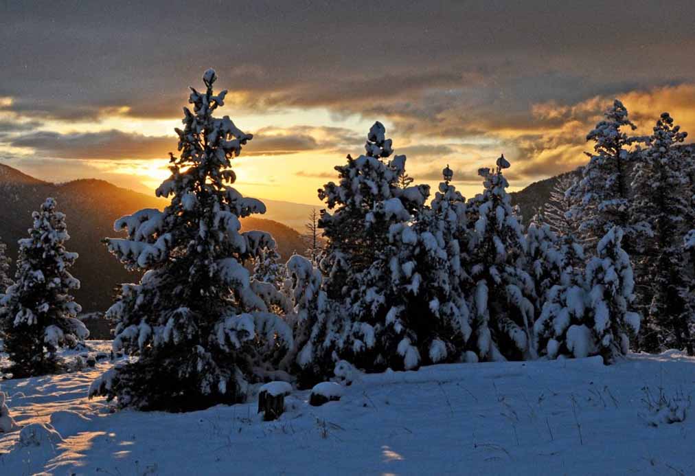 Winter view at Lone View Ranch, Montana