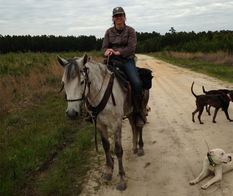 Hunter on horseback