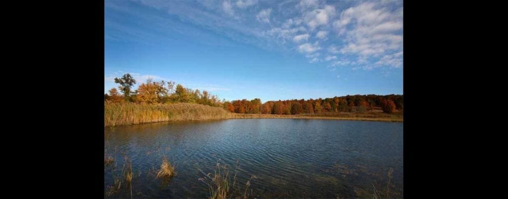 Image of Outland Ranch in Hamilton County, Illinois