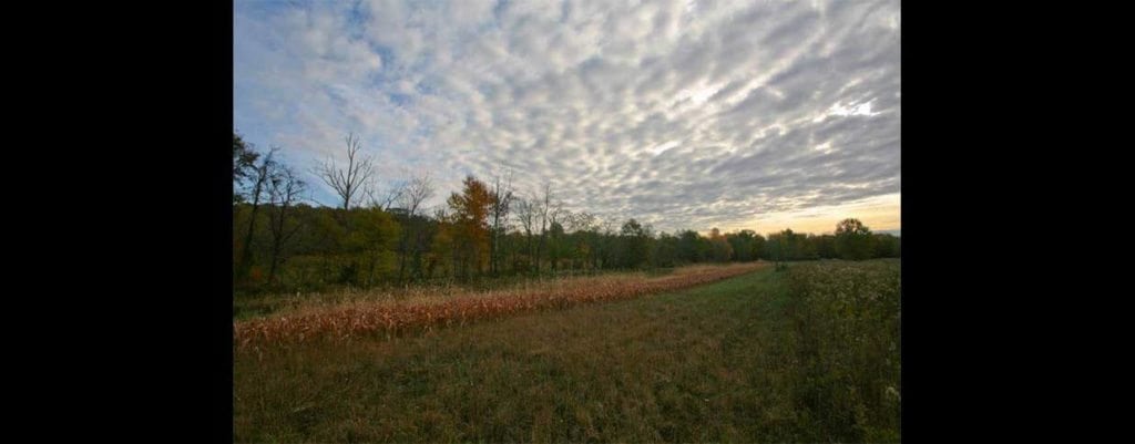 Image of Outland Ranch in Hamilton County, Illinois