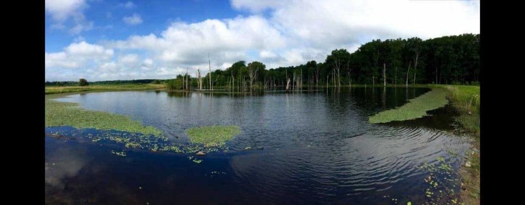 Image of Outland Ranch in Hamilton County, Illinois