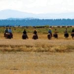 Hayden Outdoors, Land Brokers