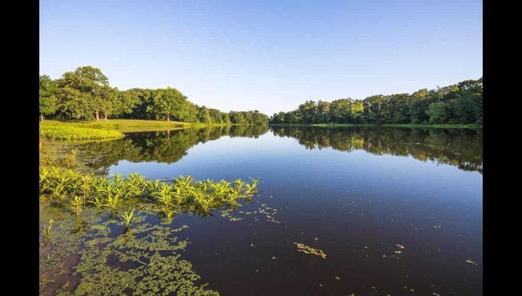 Image of lake on Broseco Ranch in Texas, sold by Icon Global Group