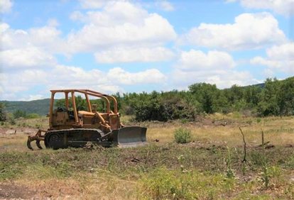 Bulldozer clearing brush