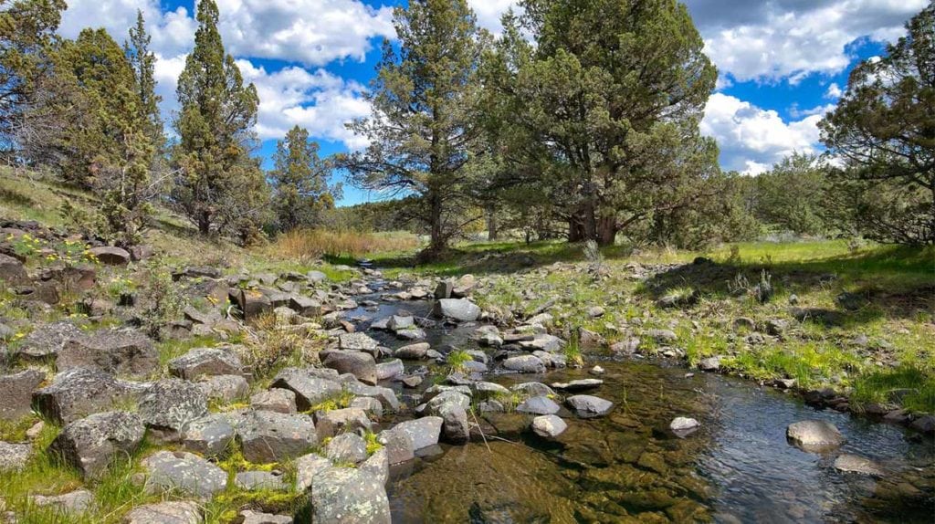 View of Dry Creek Ranch near Prineville, Oregon