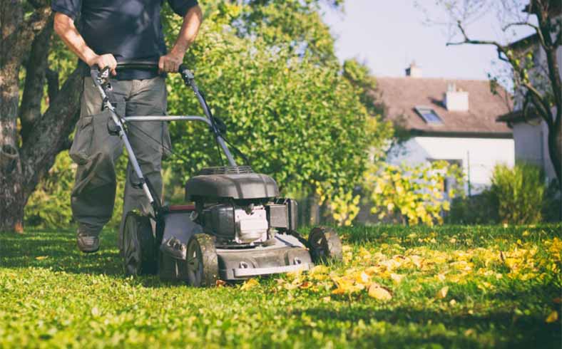 Lawn care advice: Image of lawnmower