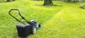 Image of a lawnmower and yard