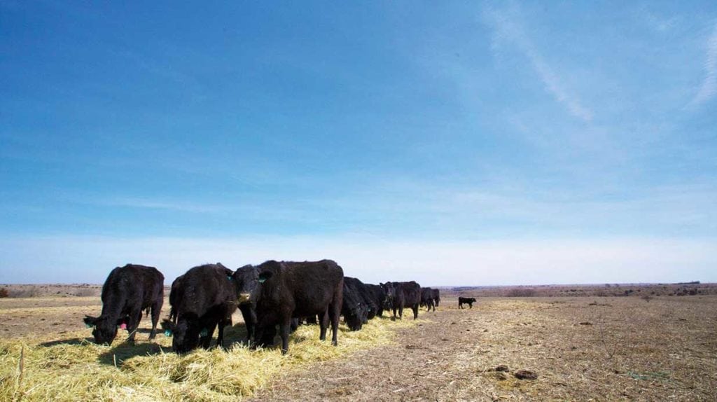 Cattle Canyon Ranch for sale in Frontier County, Nebraska