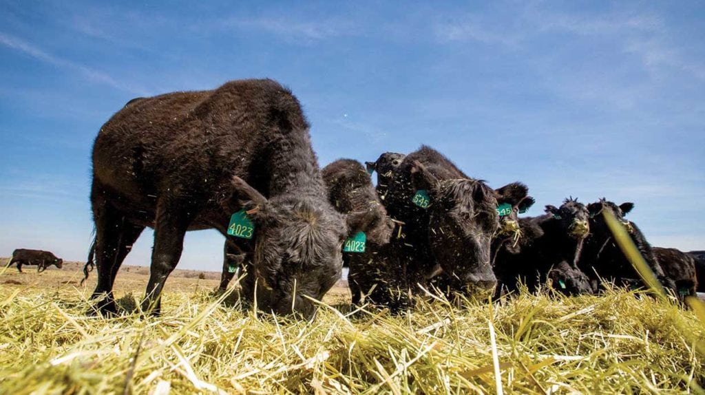 Cattle Canyon Ranch for sale in Frontier County, Nebraska