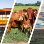 Land news, March 2018 cover image