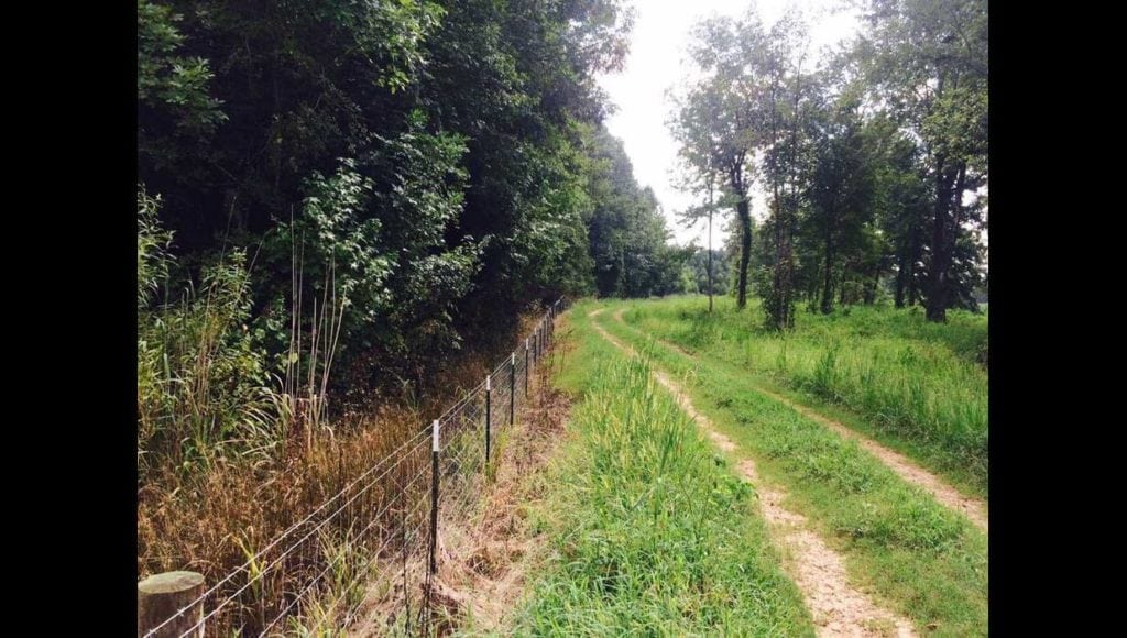 Image of land on hunting club in Calhoun County, South Carolina