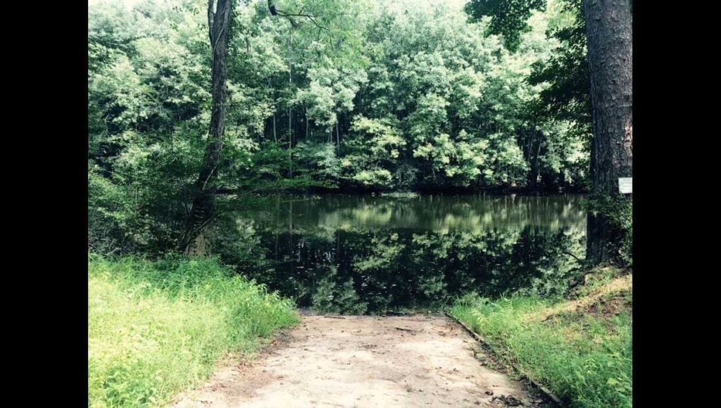 Image of land on hunting club in Calhoun County, South Carolina