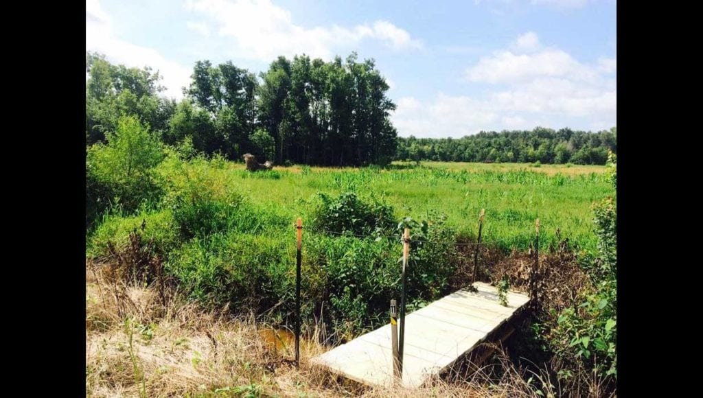 Image of land on hunting club in Calhoun County, South Carolina