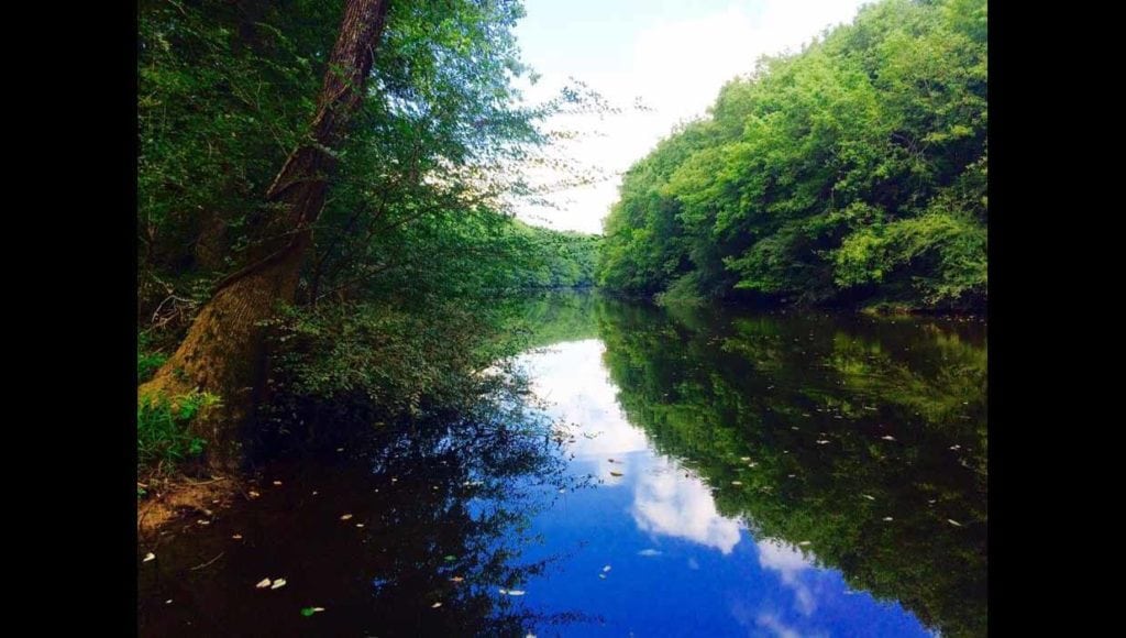 Image of land on hunting club in Calhoun County, South Carolina