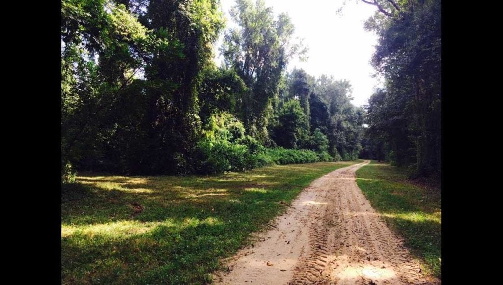 Image of land on hunting club in Calhoun County, South Carolina