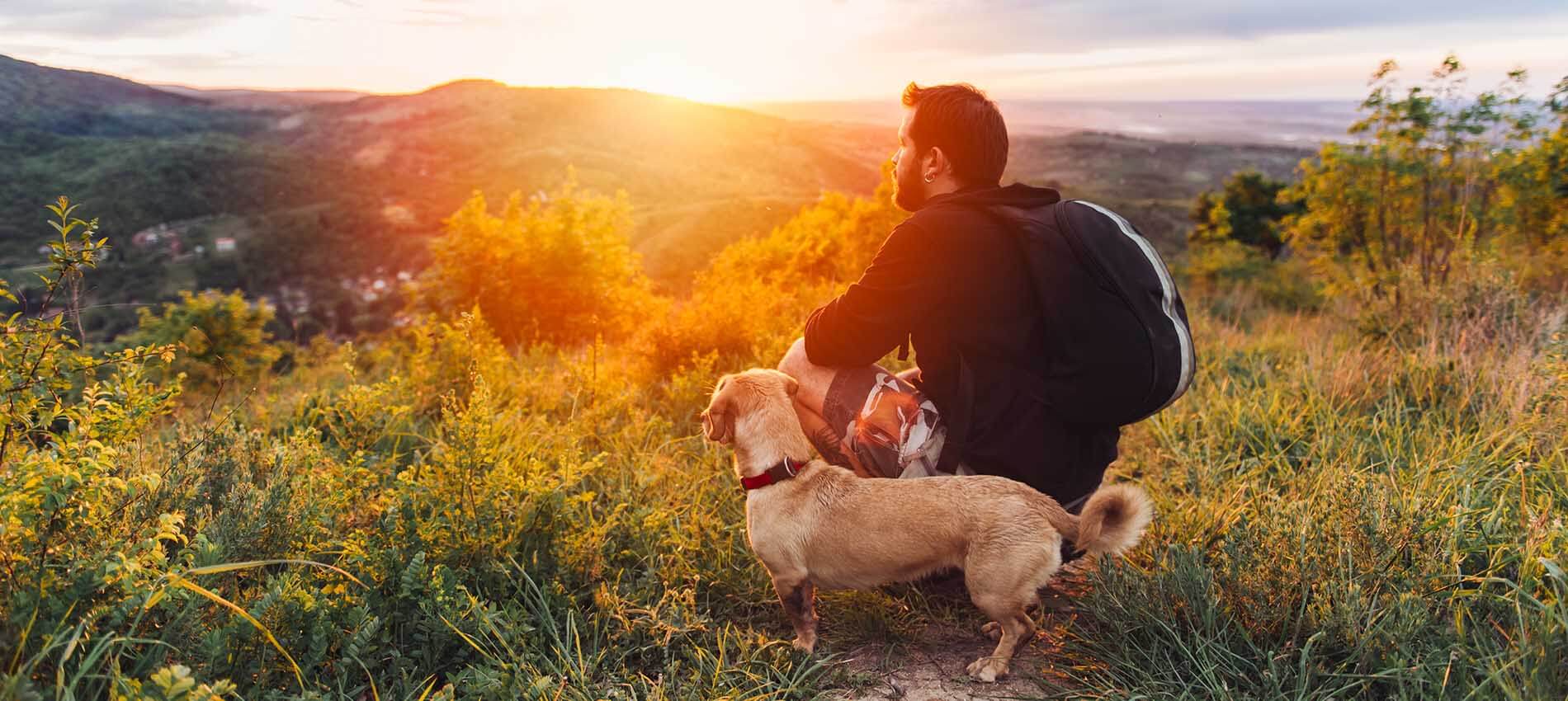 Image of hiker with dog, hiking tips