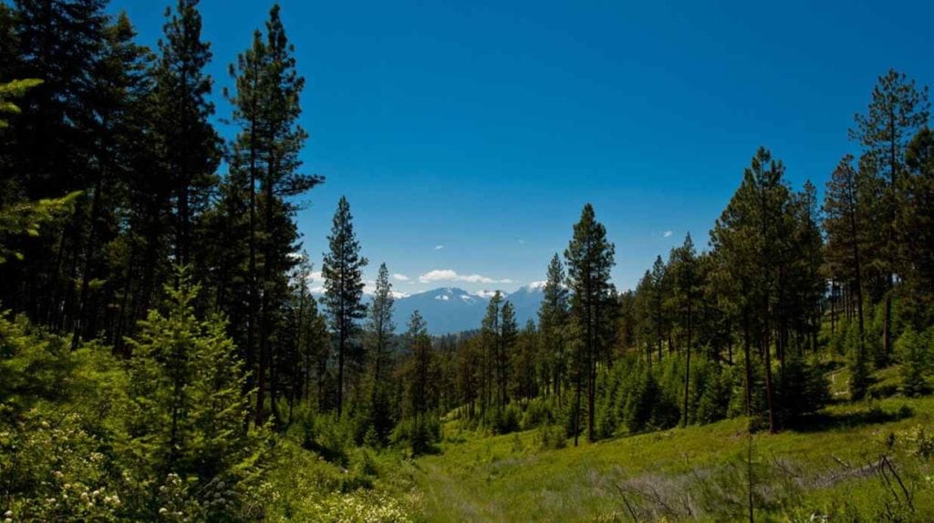 Land for sale in Ravalli County, Montana, near Missoula