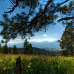 Land for sale in Ravalli County, Montana, near Missoula