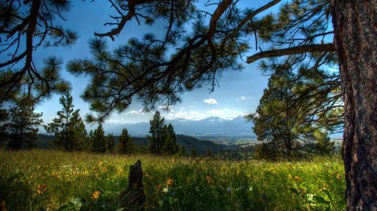 Land for sale in Ravalli County, Montana, near Missoula