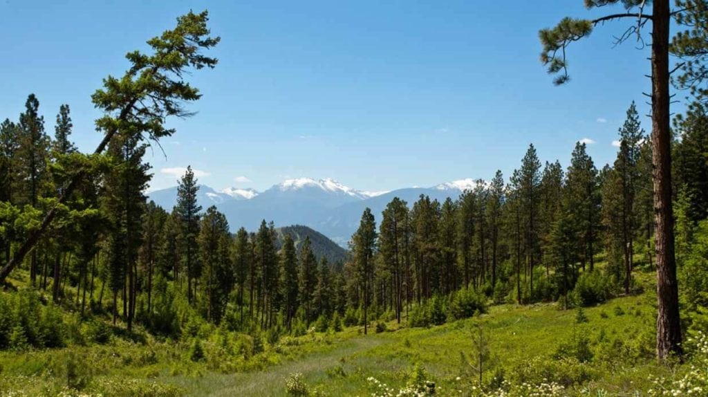 Land for sale in Ravalli County, Montana, near Missoula