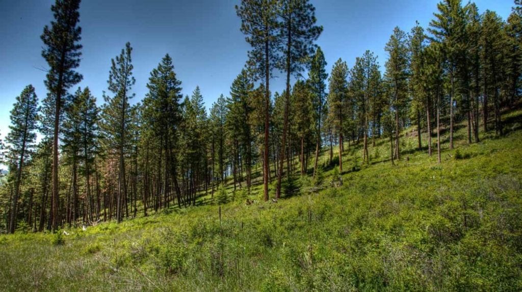 Land for sale in Ravalli County, Montana, near Missoula