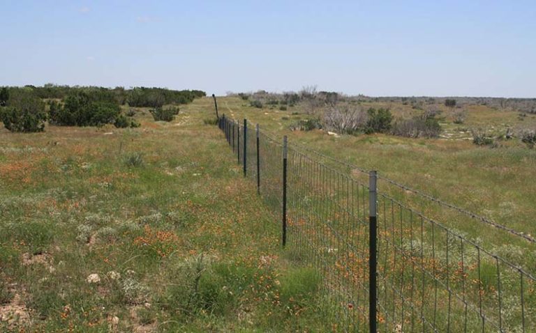 image of fence on ranch in Sterling County, Texas