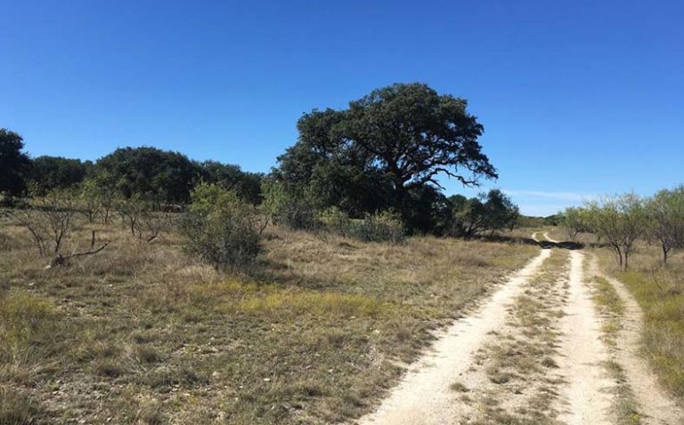 image of ranch in Texas Hill Country