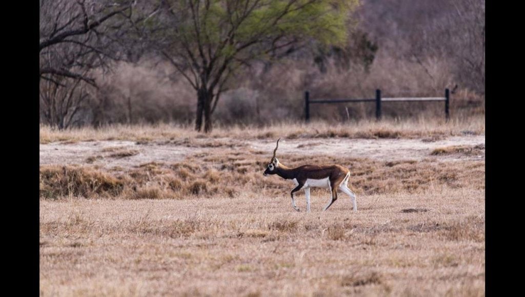 image of ranch in Kinney County, South Texas