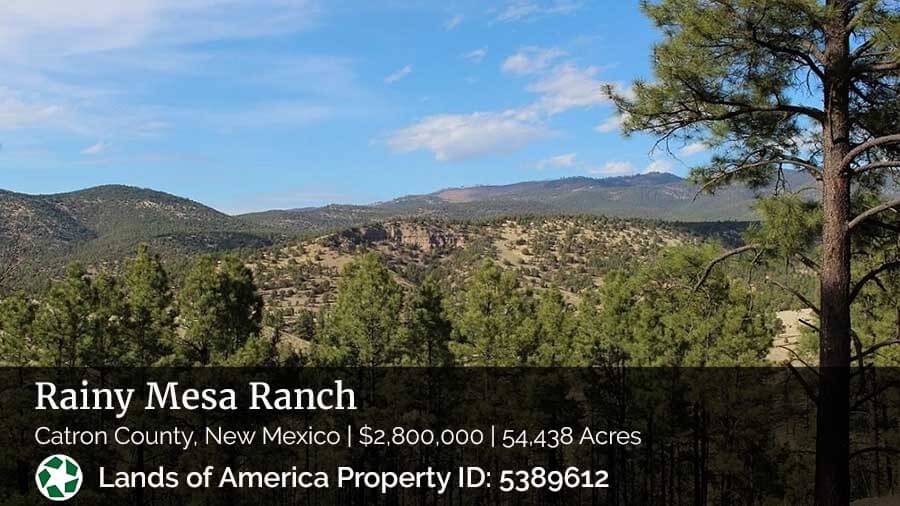 image of ranch for sale in Catron County, New Mexico