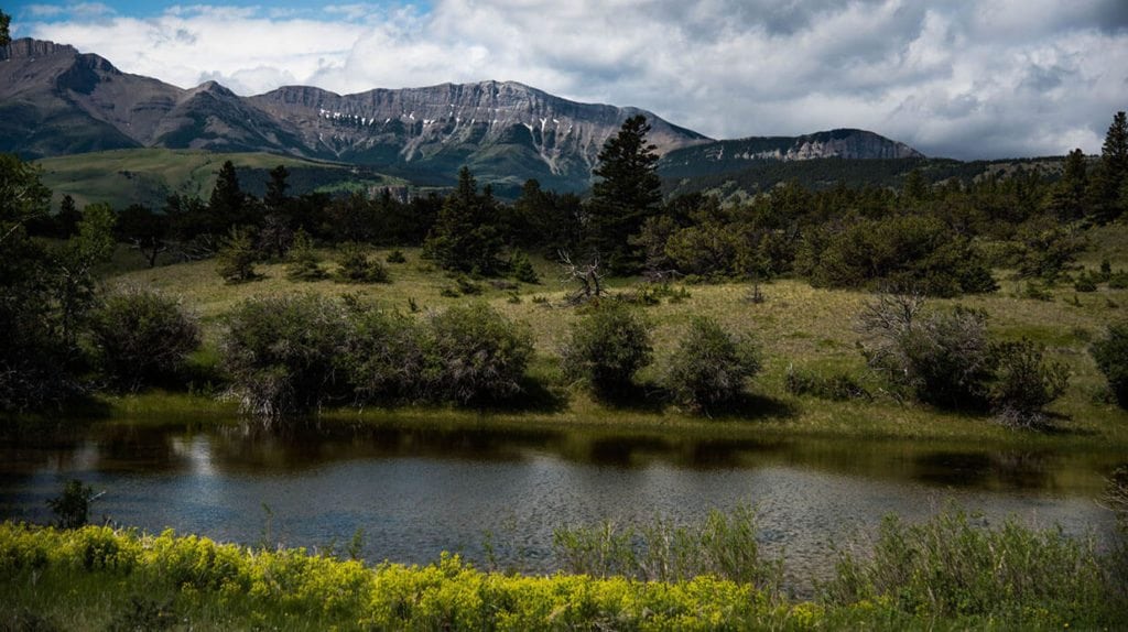 image of Deep Canyon Ranch in Teton County, Montan