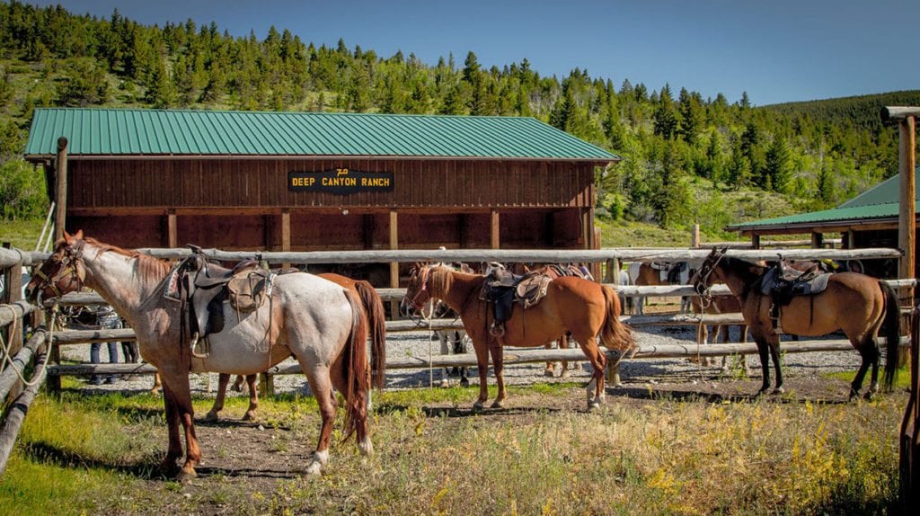 image of Deep Canyon Ranch in Teton County, Montan