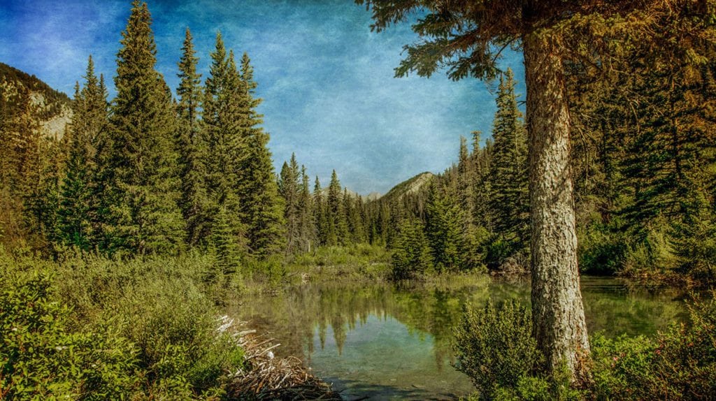 image of Deep Canyon Ranch in Teton County, Montan