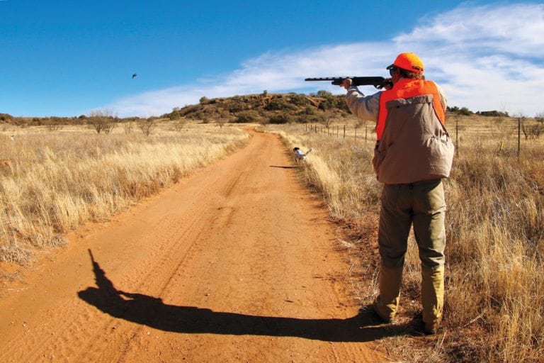 Quail hunter